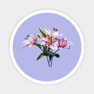 Bouquet of Pink Lilies Magnet